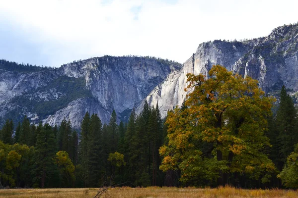 Yosemite Valley Φθινόπωρο Καλιφόρνια Ηπα — Φωτογραφία Αρχείου