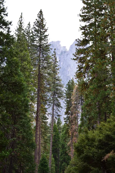 Yosemite Valley Autumn California Verenigde Staten — Stockfoto