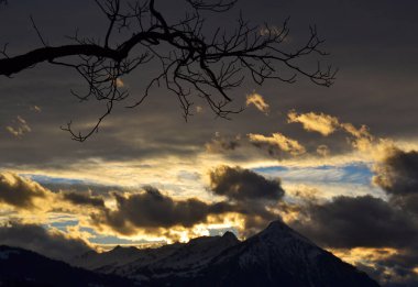 Gün batımında ağaç dalları gökyüzü arka planı
