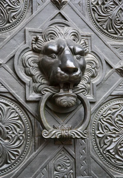 Vintage Door Handle Lion Face — Stock Photo, Image