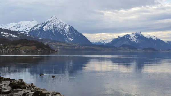 Озеро Тун Швейцарии Ранней Весной — стоковое фото