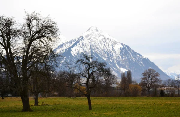 瑞士因特拉肯附近的草原和山脉 — 图库照片
