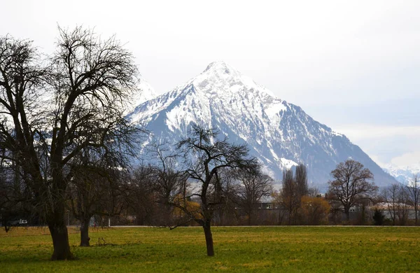 Луга Горы Рядом Interlaken Швейцария — стоковое фото