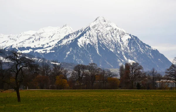 スイスのインターラーケンに近いメドウズと山 — ストック写真