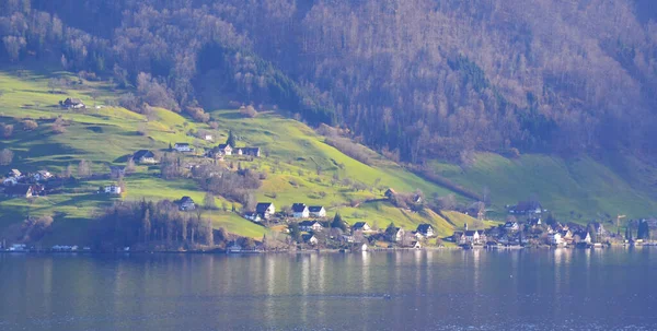 Paysage Avec Lac Lucerne Début Printemps — Photo