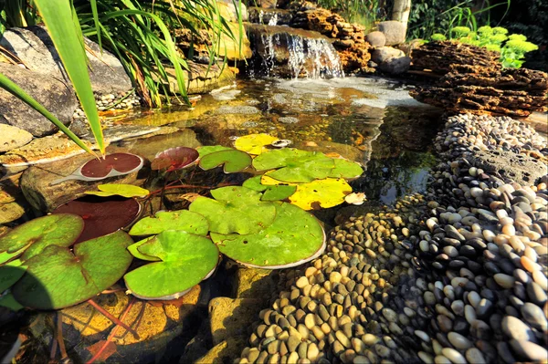 Diseño del paisaje — Foto de Stock