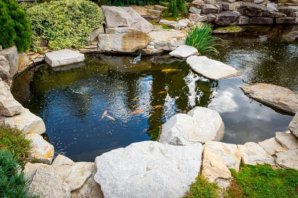 Paisajismo Patio Trasero Estanque Con Carpa Japonesa Hermosas Plantas — Foto de Stock