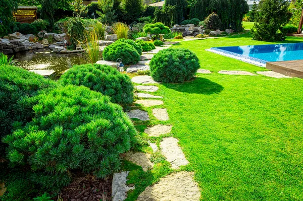 Quintal Com Piscina Residencial Livre Inground Jardim Deck Pátio Pedra — Fotografia de Stock