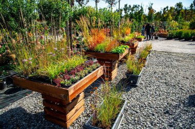 Bahçenin peyzaj tasarımı. Botanik bahçesinin ayrıntıları.