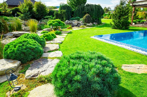 Backyard Outdoor Inground Residential Swimming Pool Garden Deck Stone Patio — Stock Photo, Image