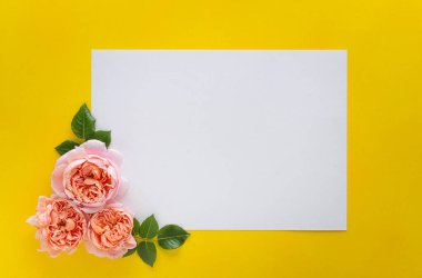 Sarı arka planda güllerle yapılmış çiçek süsü. Yüksek kalite fotoğraf