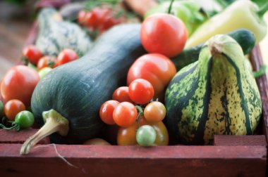 organik sebzeler. Çevre tarımı kavramı. Yüksek kalite fotoğraf