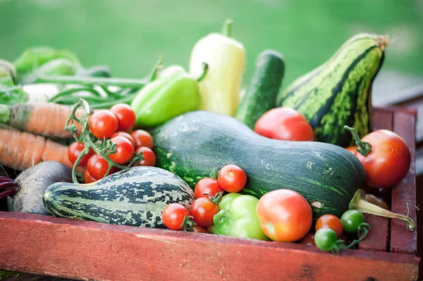 organik sebzeler. Çevre tarımı kavramı. Yüksek kalite fotoğraf