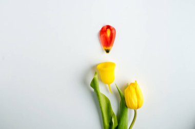 Regl sırasında yeniden kullanılabilir hijyen ürünleri kullanma kavramı. Yüksek kalite fotoğraf.