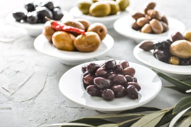 Beyaz kaselerde seçilmiş zeytin turşusu. Yüksek kalite fotoğraf