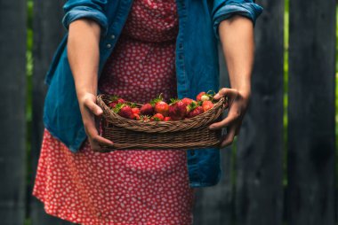 Evde taze organik çilek tutan kız örgü sepeti.