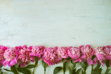 Yazmak için yeri olan pembe şakayıkların güzel manzarasını kapat.