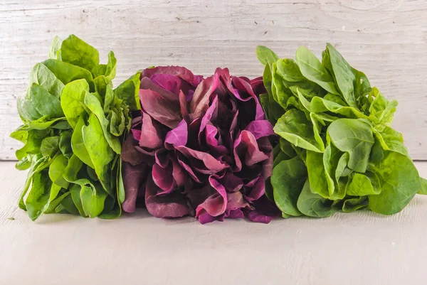 variety of red and green spinach on white wooden background. High quality photo