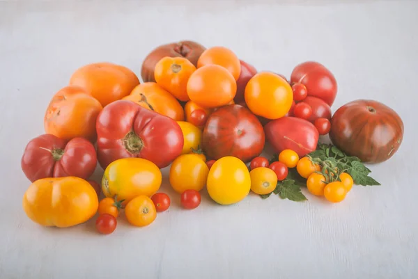 Variety Ripe Colourful Organic Tomatoes High Quality Photo — Stock Photo, Image