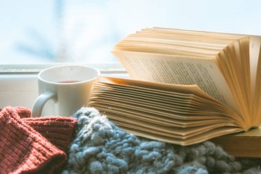 Pencerenin dışında kar ve kapalı alanda kitap