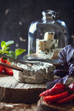 Küflü ve yumuşak sıvı çekirdekli gurme keçi peyniri. Yüksek kalite fotoğraf.