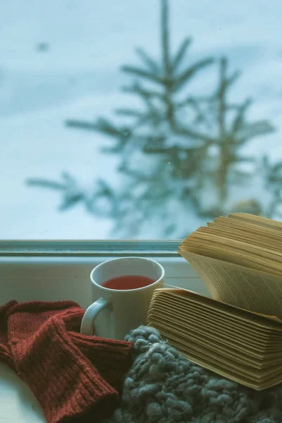 snow outside the window and open book indoor