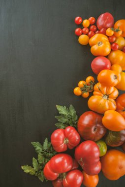 Çeşitli renklerde organik domatesler. Yüksek kalite fotoğraf.