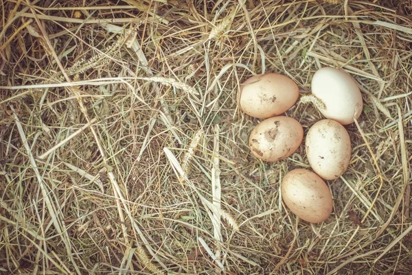 Органические Свежие Яйца Соломе Деревенском Стиле — стоковое фото