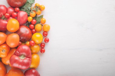 Kopya alanı olan taze olgun domates çeşitleri