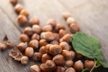 Fındık kabuklu taze fındık yığını ve birkaç çatlak.