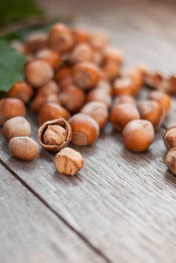 Fındık kabuklu taze fındık yığını ve birkaç çatlak.