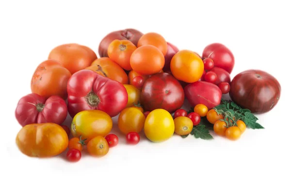 Odmiana Dojrzałych Organicznych Kolorowych Pomidorów Izolowanych Białym Tle — Zdjęcie stockowe