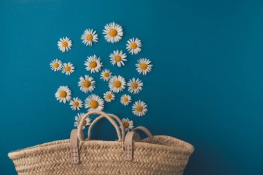 daisies fall into a straw bag. summer concept