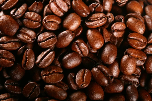 Coffee — Stock Photo, Image