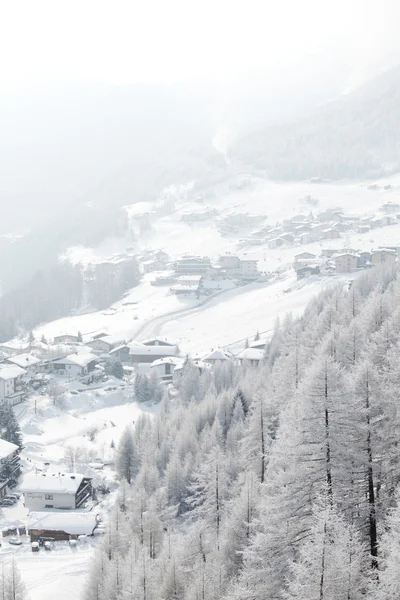 Skogen i snö — Stockfoto