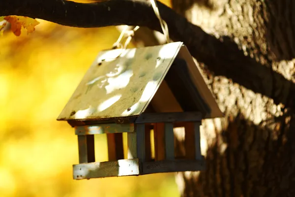 Птичий домик в осеннем лесу — стоковое фото