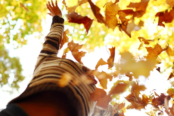 Mujer caída hojas en otoño parque — Foto de Stock