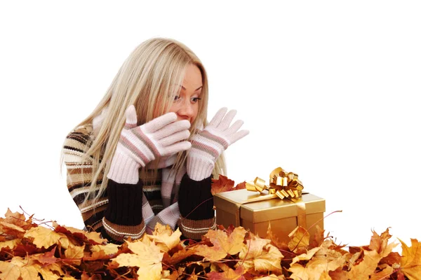 Mujer tomar regalo de otoño — Foto de Stock