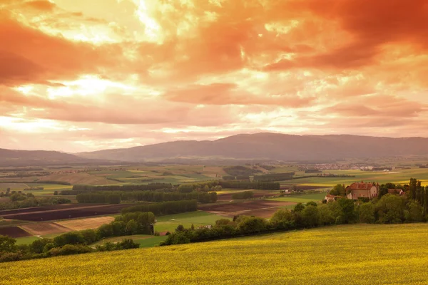 Prado verde sob o céu por do sol com nuvens — Fotografia de Stock