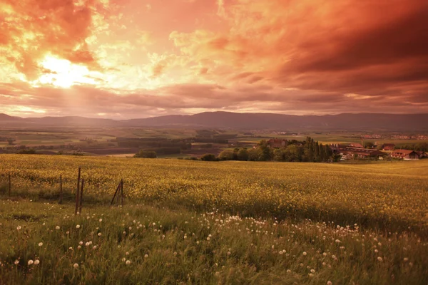 Prado verde sob o céu por do sol com nuvens — Fotografia de Stock