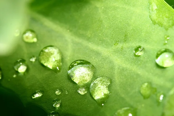 Natuurlijke waterdrop — Stockfoto