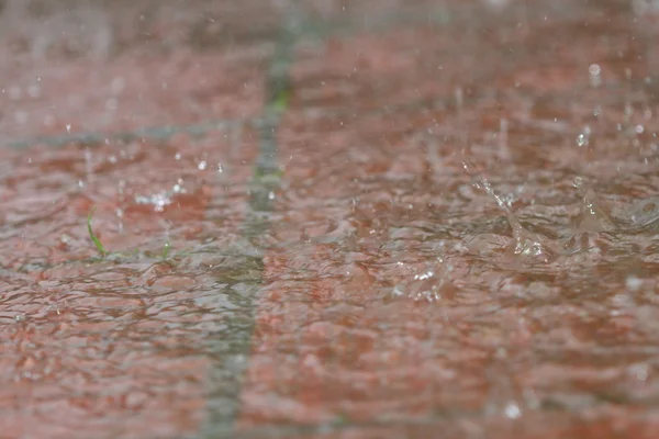 Outdoor rain — Stock Photo, Image