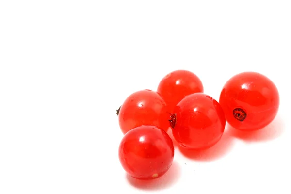 Red currant — Stock Photo, Image