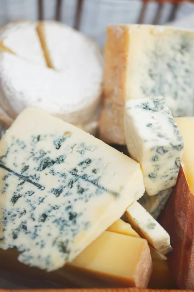 各种类型的奶酪成分 — 图库照片