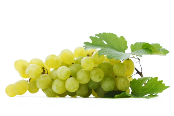 Rama de uvas con hojas aisladas sobre fondo blanco —  Fotos de Stock