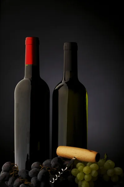 Two bottle of red and white wine — Stock Photo, Image