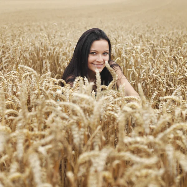 Nő búza mező — Stock Fotó