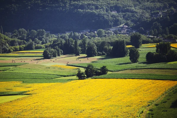 Francie zelené louce panorama — Stock fotografie