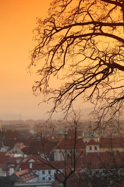 捷克共和国布拉格的全景 — 图库照片