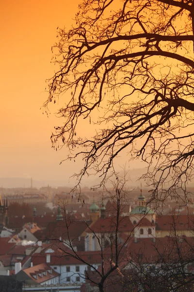 Panorama van Praag Tsjechië — Stockfoto